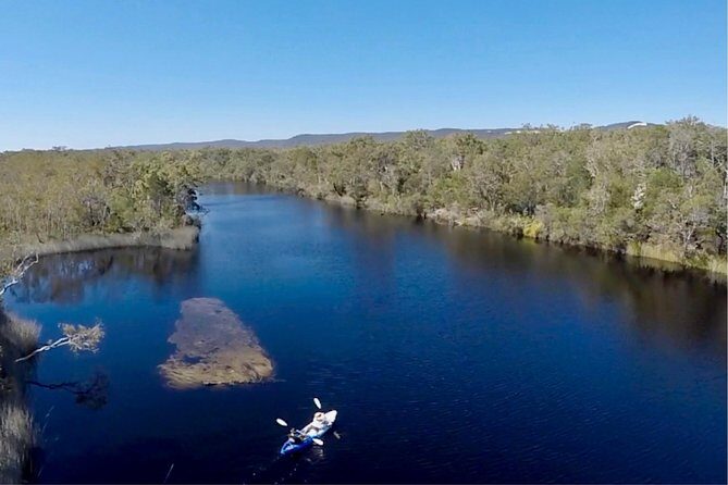 Noosa Everglade Kayak -South/Noosa End - Searching for Stingrays! - The Benefits of the Guided Experience