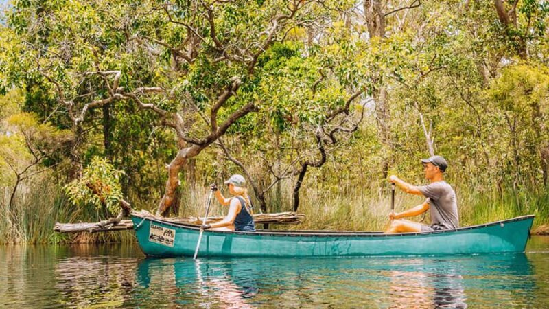 Noosa: Everglades Explorer Cruise - Who Will Love This Tour?