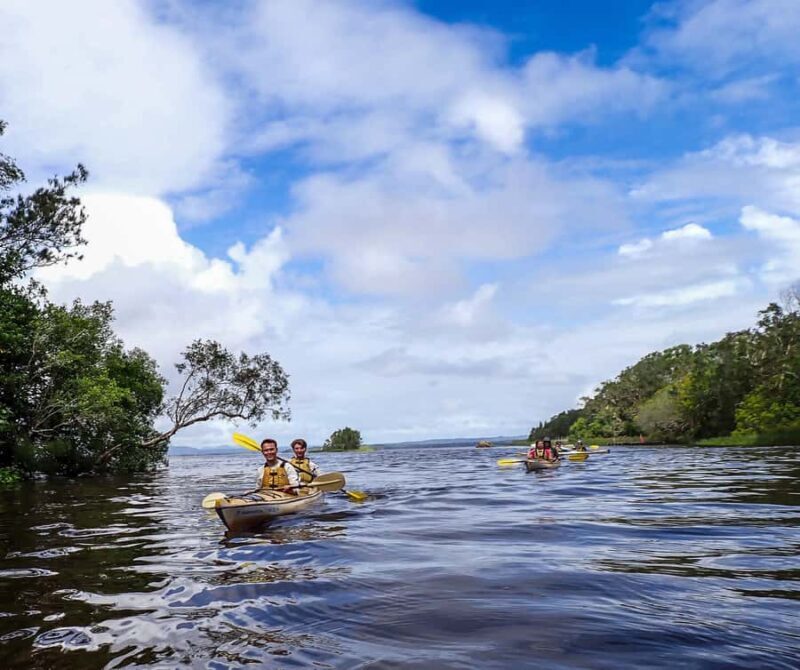 Noosa Everglades: Truly Sustainable Self Guided KAYAK Tour - An Unforgettable Paddle in the Noosa Everglades