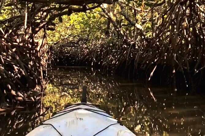 Noosa Heads: Epic Hidden Waterways & Wildlife Kayak Tour - Exploring Noosa’s Hidden Waterways