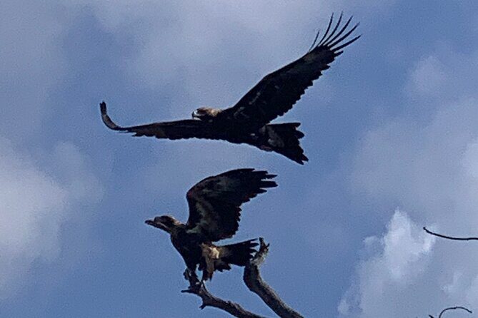 Noosa Heads: Epic Hidden Waterways & Wildlife Kayak Tour - What’s Included & What to Bring