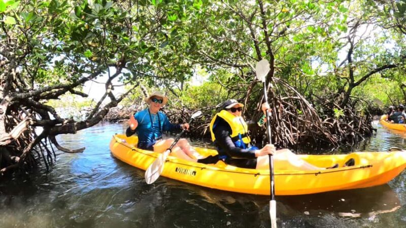 Noosa Heads: Hidden Waterways Wildlife Kayak (Fully Guided) - Introduction to the Noosa Waterways Kayak Tour