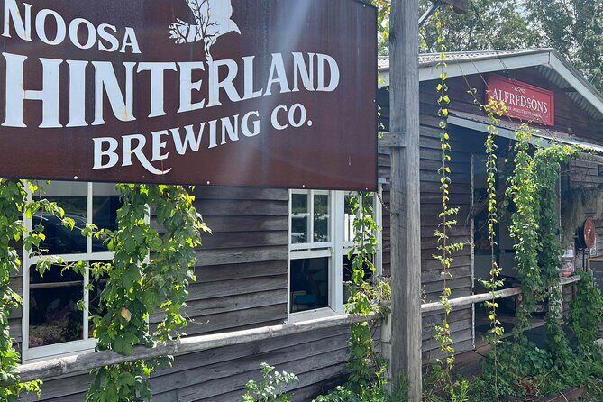 Noosa Hinterland Drinks Private Tour with Gin, Beer, Mead & Wine Tastings - Price and Value Analysis