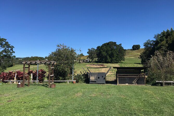 Noosa Hinterland Tour with Lunch, Wine & Cheese Tasting & more - FAQs