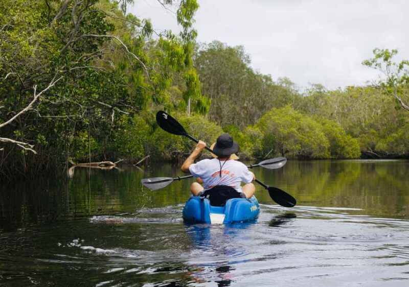 Noosa: Noosa Everglades and Stingray Sanctuary Kayak Tour - The Sum Up