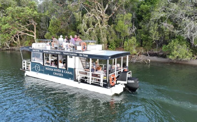 Noosa: Noosa River Eco Tour - What to Expect from the Noosa River Eco Tour
