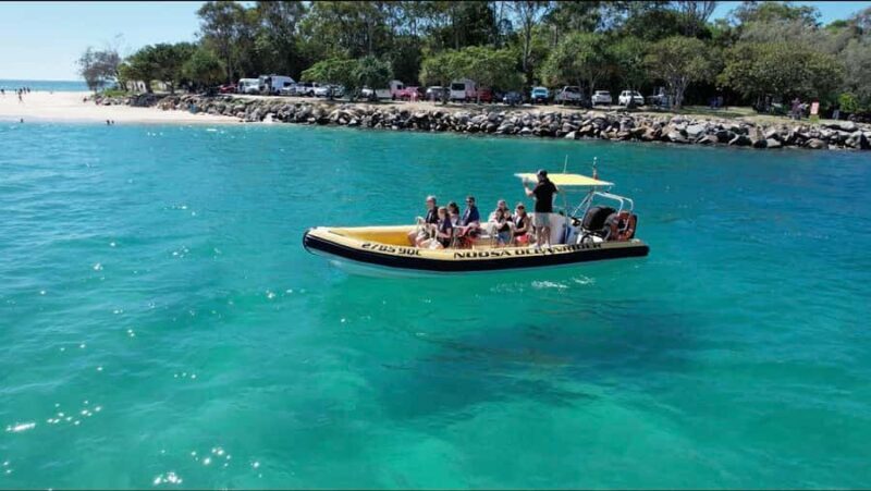 Noosa Ocean adventure & Dolphin Safari. - An Adventure on the Water: What You Can Expect