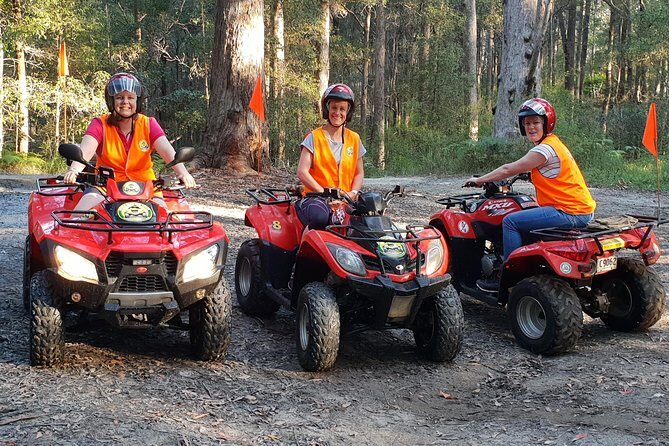 Noosa Quad Bike Tours - Who Will Appreciate This Experience?