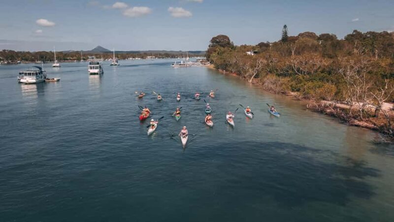 Noosa River: Mangroves and Mansions Guided Kayak Tour - The Sum Up