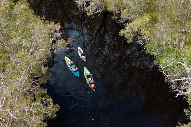 Noosa Sightseeing Adventure - Ferry Cruise, Ride and Kayak - An In-Depth Look at the Noosa Sightseeing Adventure