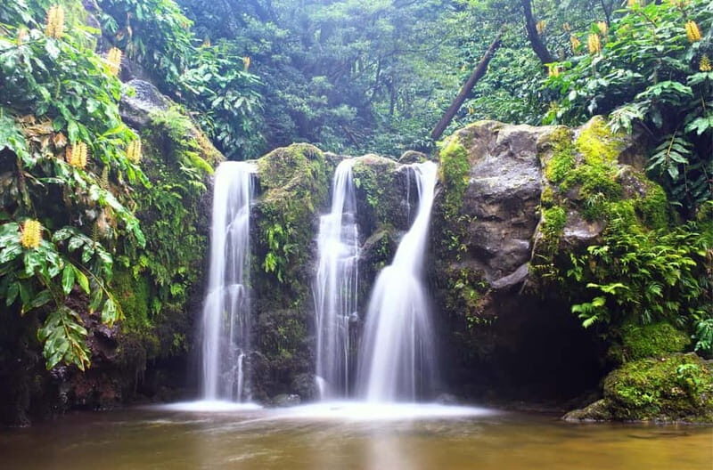 Nordeste/Northeast coast FULL DAY Waterfalls Hike - Final Thoughts