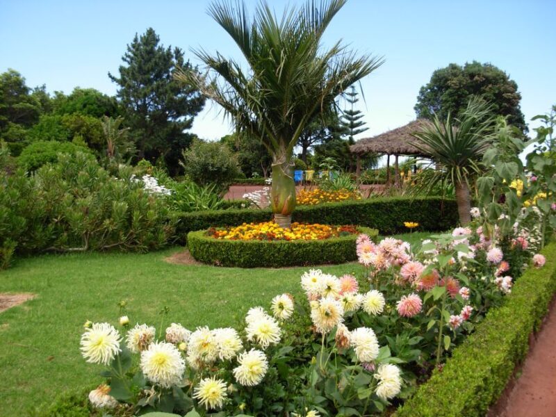 Nordeste Private Tour (2 people) - A Deep Dive into the Nordeste Private Tour