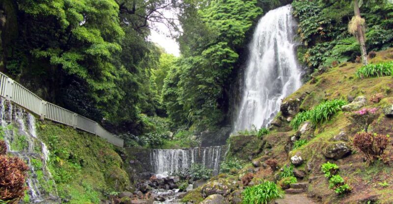 Nordeste Tour from Ponta Delgada - Transportation, Group Size, and Overall Value