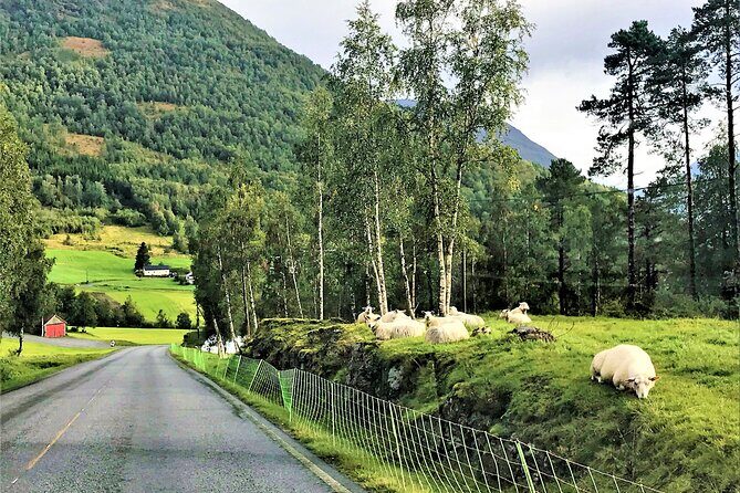 Nordfjordeid Private Shore Excursion, Glaciers and SkyLift Ride - FAQ