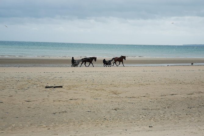 Normandy Battlefields Tour - American Sites (A3) - The Full Breakdown: What This Normandy Tour Offers