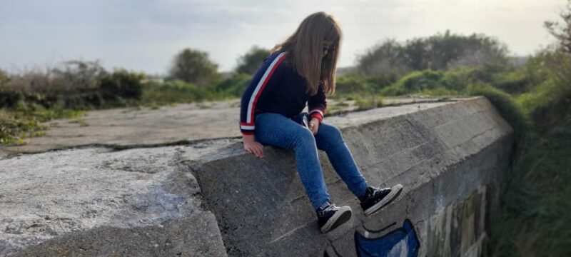 Normandy D-Day Beaches Private Tour US sector from Caen - Key Points