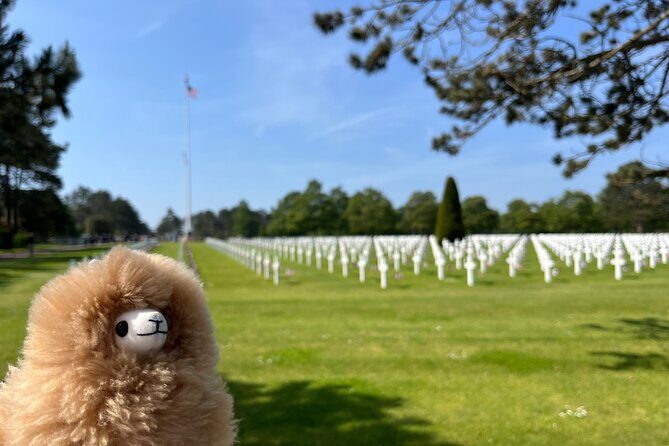 Normandy D-day landing beaches & Caen Memorial Private Tour - The Value of the Tour: Why It Works