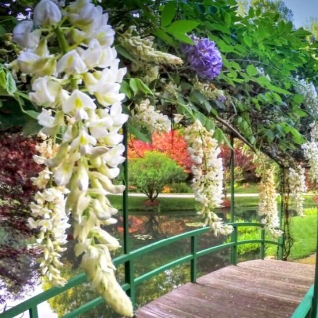 North Atlanta: Gibbs Gardens Self-Guided Slingshot Tour - The Sum Up