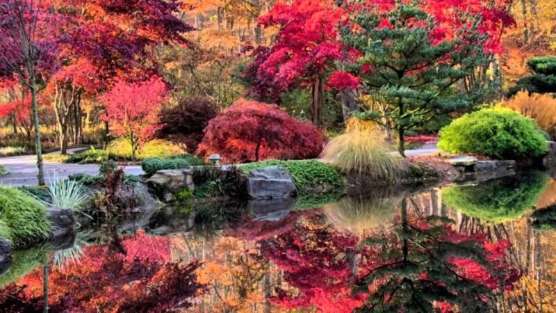 North Atlanta: Gibbs Gardens Self-Guided Slingshot Tour - FAQ
