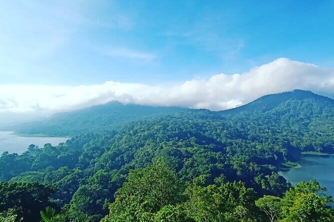 North Bali Sekumpul Waterfall, Banyumala Waterfall & Temple Tour - Who Will Love This Tour?