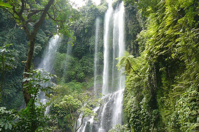 North Bali Tour: Banyumala Waterfall & Wanagiri Hidden Hills - Transportation and Overall Experience