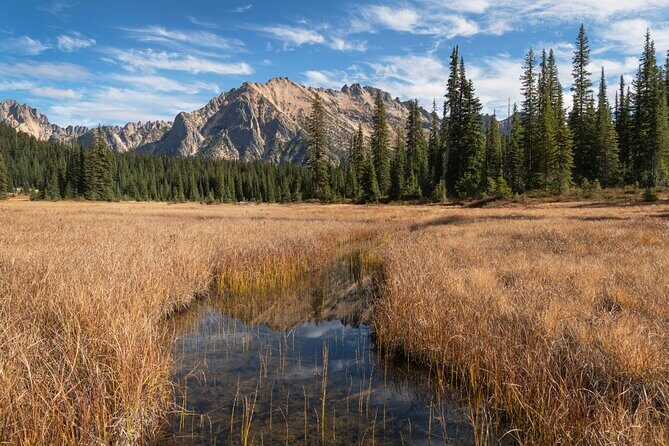 North Cascades Self-Guided Driving Audio Tour - Wrapping Up