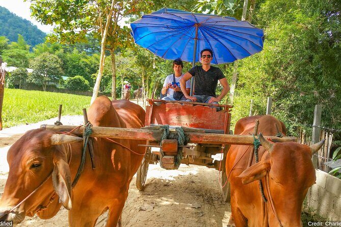 North & Central Thailand: See it ALL in 12 Days, 1st Class Tours - Final Verdict