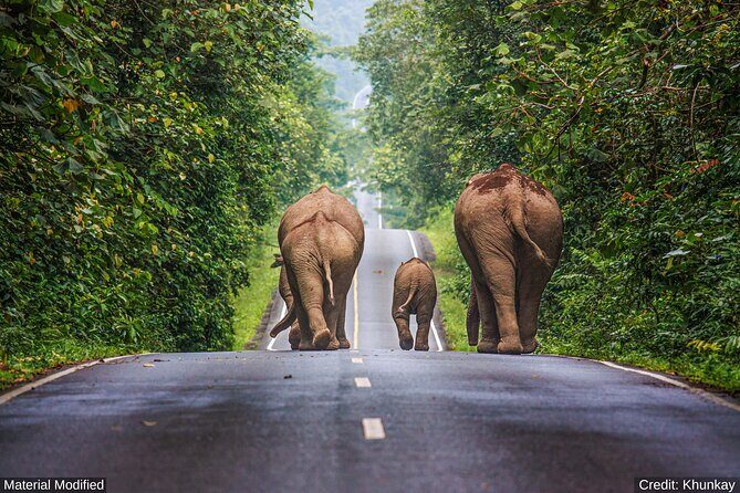 North & Central Thailand: See it ALL in 12 Days, 1st Class Tours - FAQ