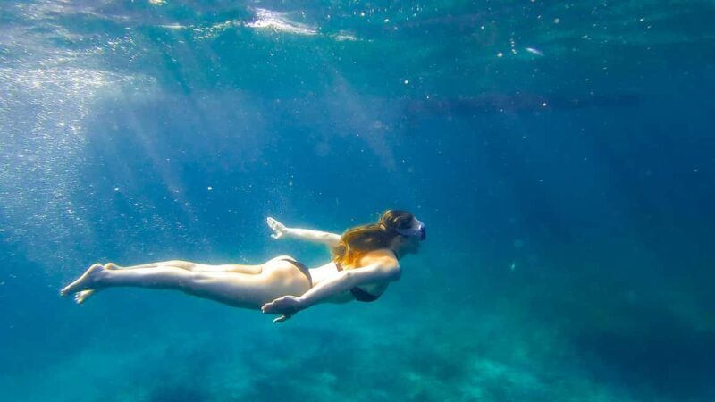 North Coast Dolphins Sunrise Adventure Tour - Key Points