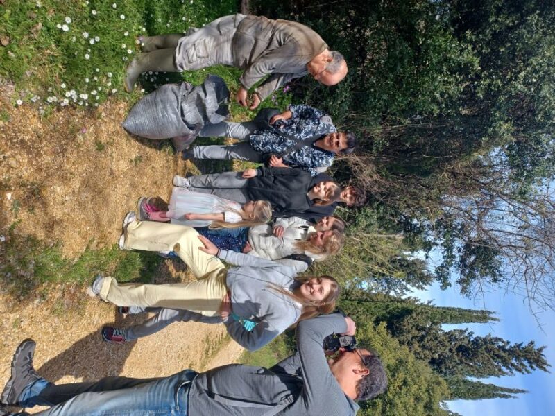 North Corfu Olive Tour with Olive Oil Tasting and Meze - A Close Look at the Tour Itself