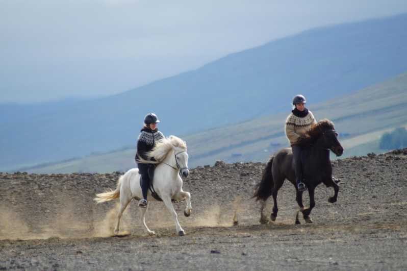 North Iceland: Horseback Riding Tour - Key Points