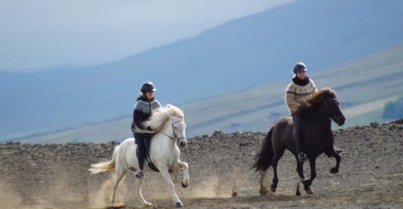 North Iceland: Horseback Riding Tour - What to Expect During the Tour