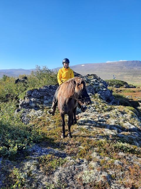 North Iceland: Horseback Riding Tour - Who Would Love This Tour?