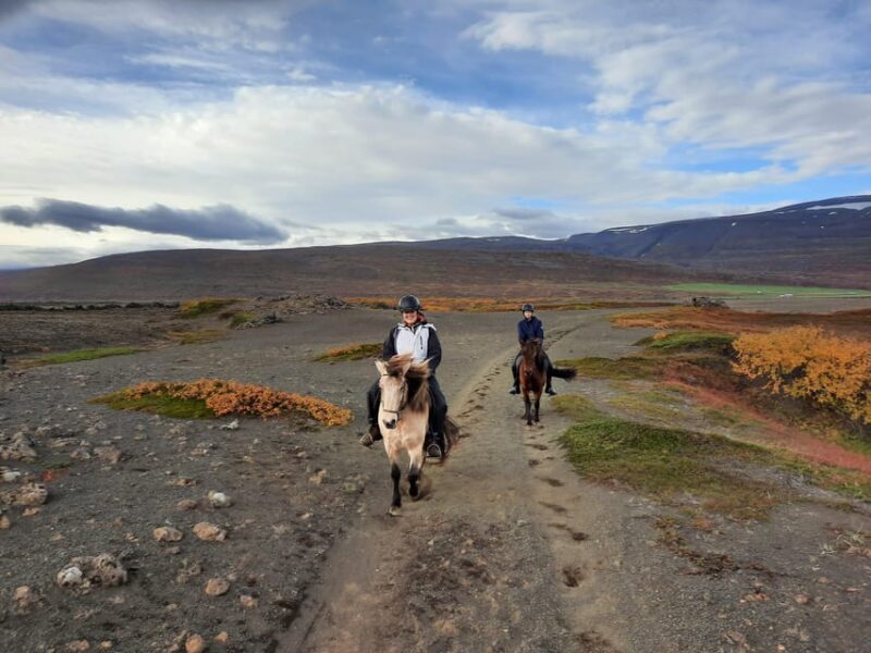 North Iceland: Horseback Riding Tour - The Sum Up