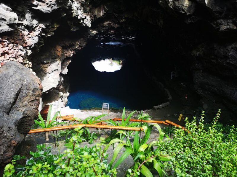 North Lanzarote: Cave, Jameos del Agua, and Viewpoint - Why This Tour Is Worth Considering