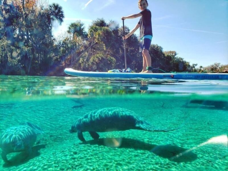 North Miami: Nature & Island Exploration on SUP/Kayak - A Deep Dive into the Experience
