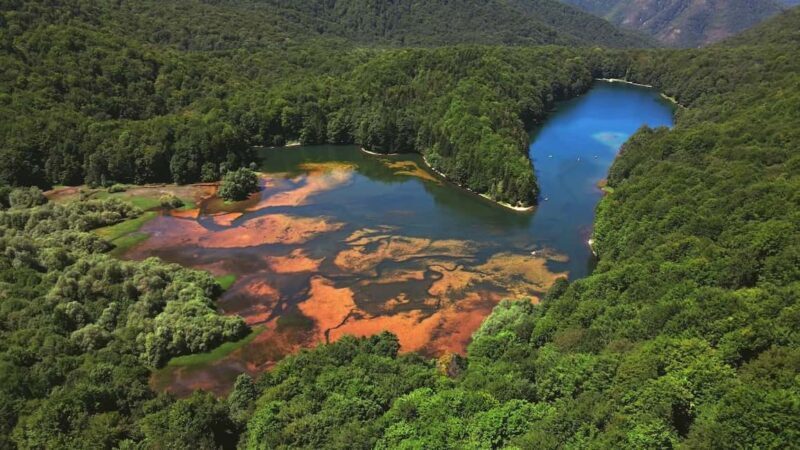 North Montenegro return trip - Biogradska Gora National Park - FAQs