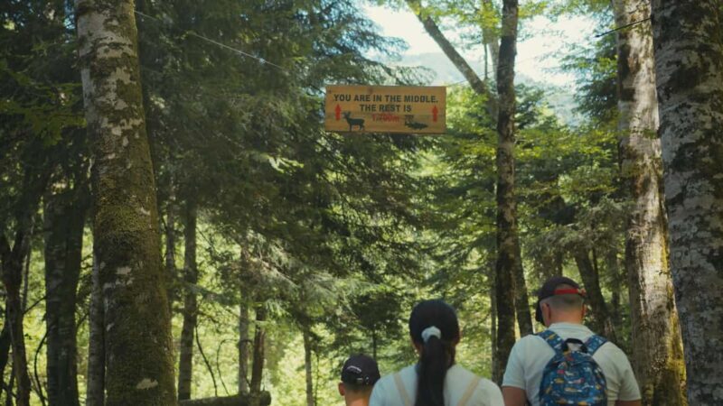 North Montenegro return trip - Biogradska Gora National Park - Final Thoughts