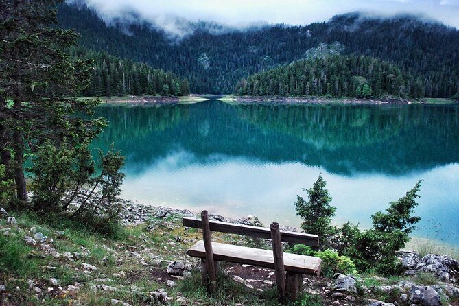 North of Montenegro Private Tour - Tara Canyon & National Parks - A Deep Dive into the Experience