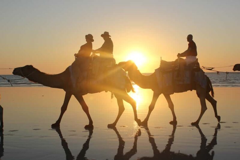 North of Rocks on Cable Beach: 1-Hour Sunset Camel Ride - Meeting the Camels and the Guides