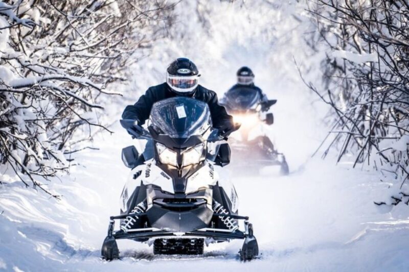 North Pole Alaska: Guided Fairbanks Snowmobile Tour - An In-Depth Look at the Fairbanks Snowmobile Experience