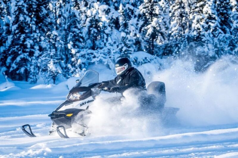 North Pole Alaska: Guided Fairbanks Snowmobile Tour - Final Thoughts