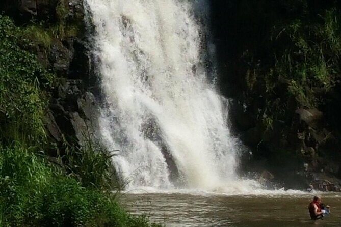 North Shore day,Waterfalls and Turtles Tour - Who Should Consider This Tour?