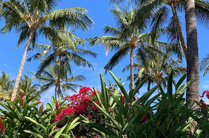 North Shore Highlight Tour - Final Thoughts