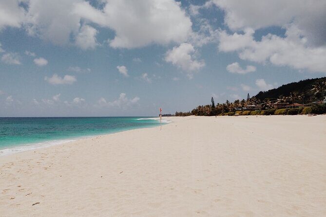 North Shore of Oahu Private Full-Day Tour with Local Guide - Transport and Overall Experience