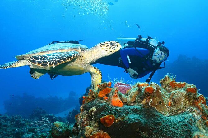 North Shore Private Tour - FAQs