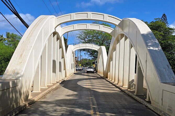 North Shore Turtle Bay Private Airport Transfer Up to 10 Guests - What Travelers Are Saying and How It Plays Out