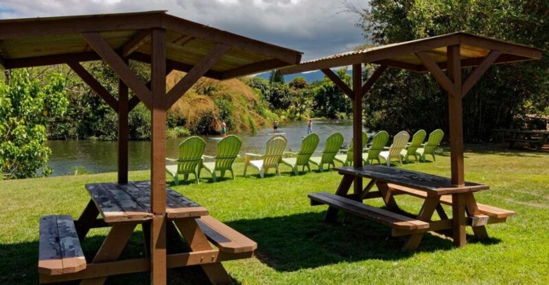 North Shore's best day! River, Turtles, Farm with Lunch - Exploring the Details: What Makes This Tour Special