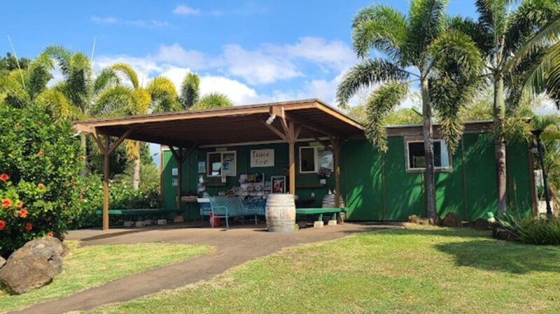 North Shore's best day! River, Turtles, Farm with Lunch - Authenticity & Value: Is It Worth It?