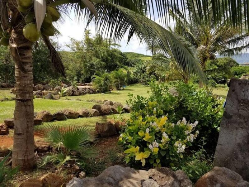 North Shore's best day! River, Turtles, Farm with Lunch - FAQ